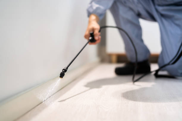 Licensed Ant Control service in Half Moon Bay, CA - Show Me Pest Control