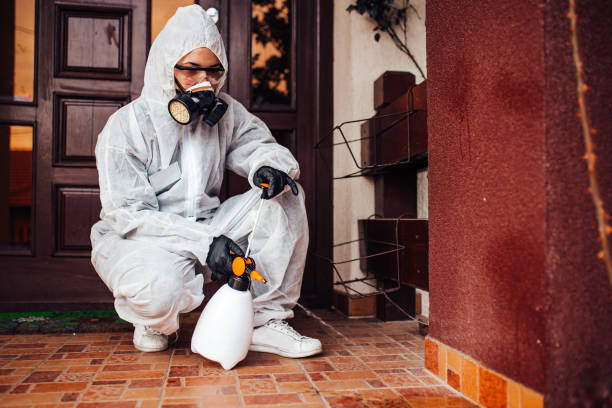 Reliable Ant Control contractor in Half Moon Bay, CA by Show Me Pest Control